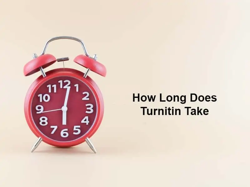 How Long Does Turnitin Take