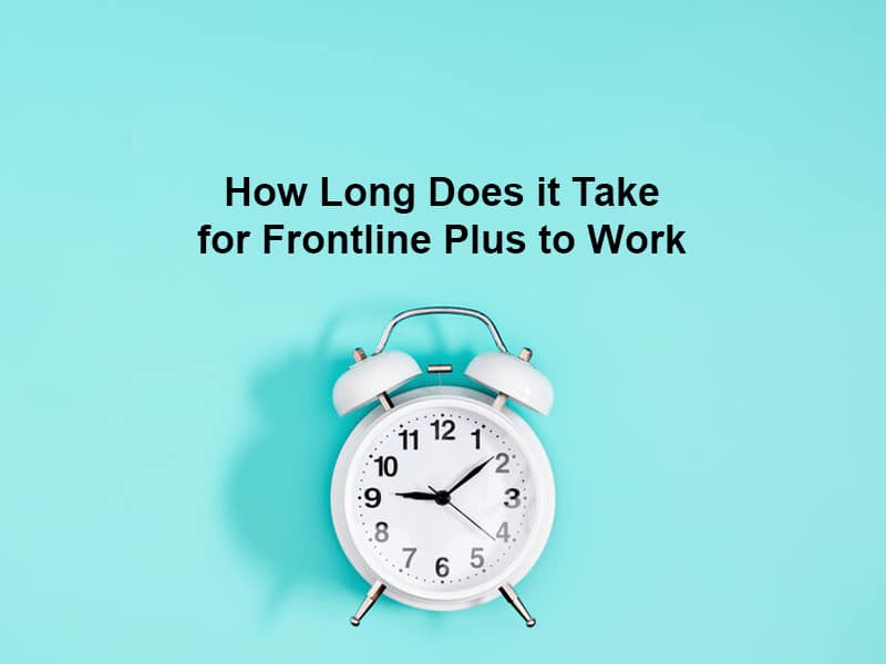 How Long Does it Take for Frontline Plus to Work
