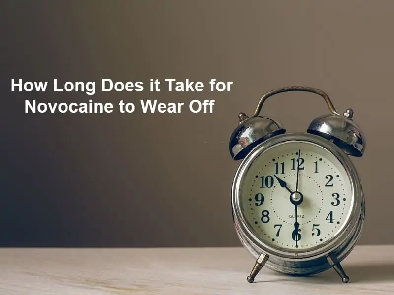 How Long Does it Take for Novocaine to Wear Off