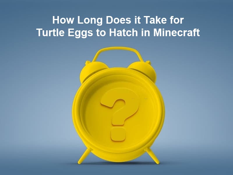 How Long Does it Take for Turtle Eggs to Hatch in Minecraft