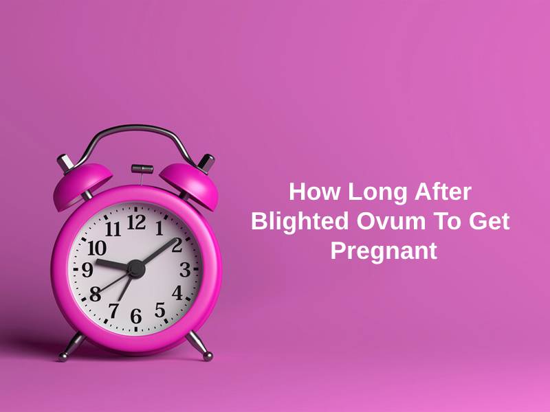 How Long After Blighted Ovum To Get Pregnant