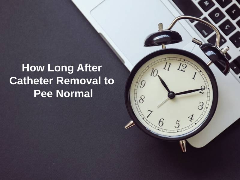 How Long After Catheter Removal to Pee Normal