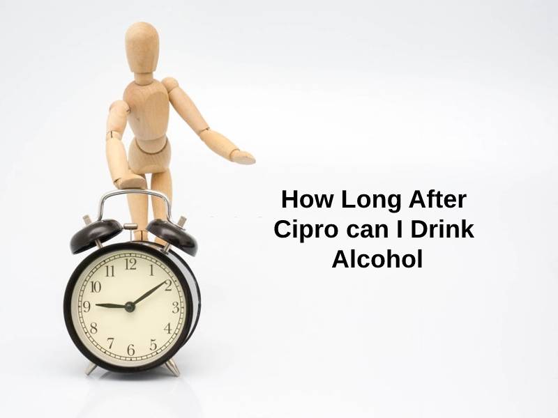 How Long After Cipro can I Drink Alcohol