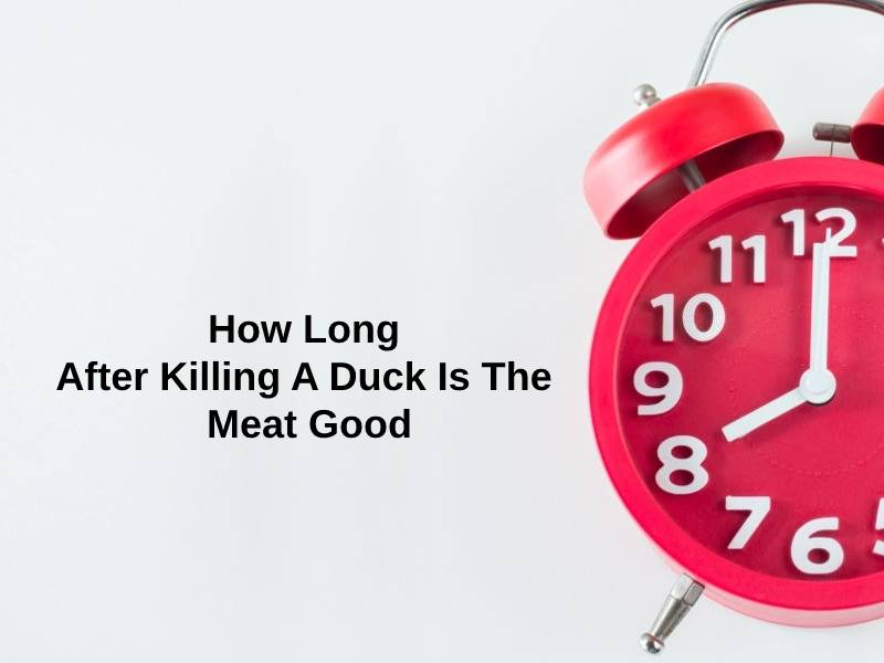 How Long After Killing A Duck Is The Meat Good