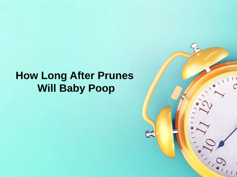 How Long After Prunes Will Baby Poop