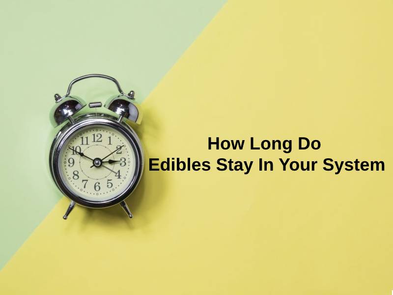 How Long Do Edibles Stay In Your System