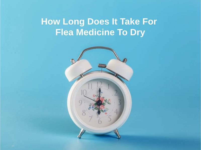 How Long Does It Take For Flea Medicine To Dry