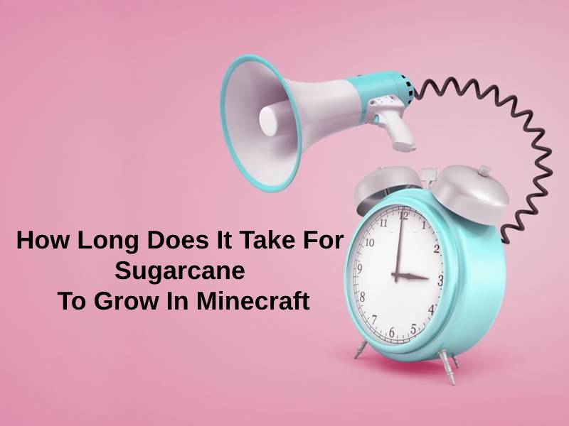 How Long Does It Take For Sugarcane To Grow In Minecraft