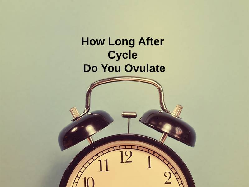 how-long-after-cycle-do-you-ovulate-and-why-exactly-how-long