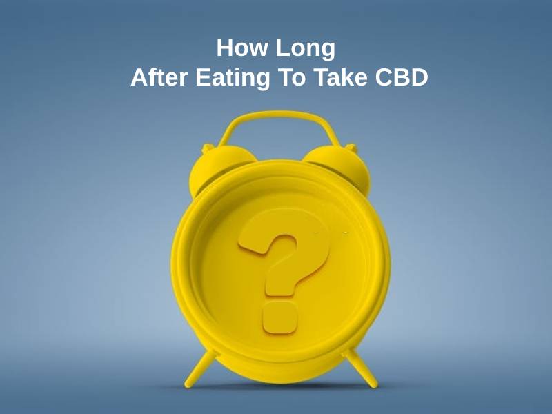 How Long After Eating To Take CBD