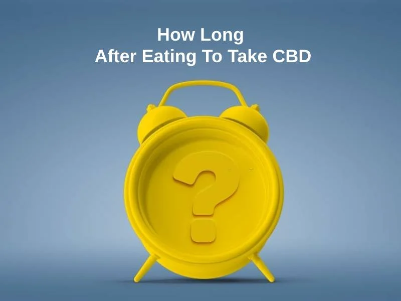 How Long After Eating To Take CBD
