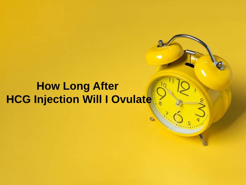 How Long After HCG Injection Will I Ovulate