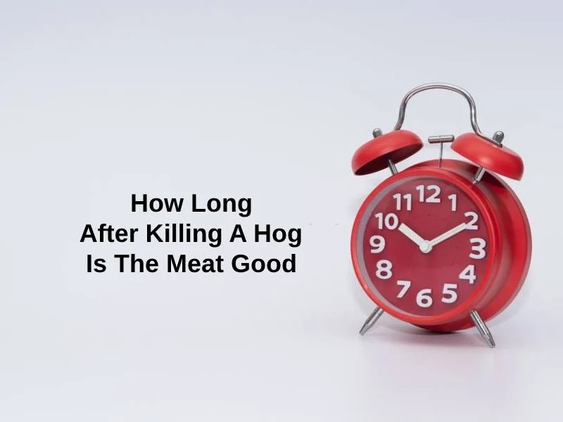 How Long After Killing A Hog Is The Meat Good