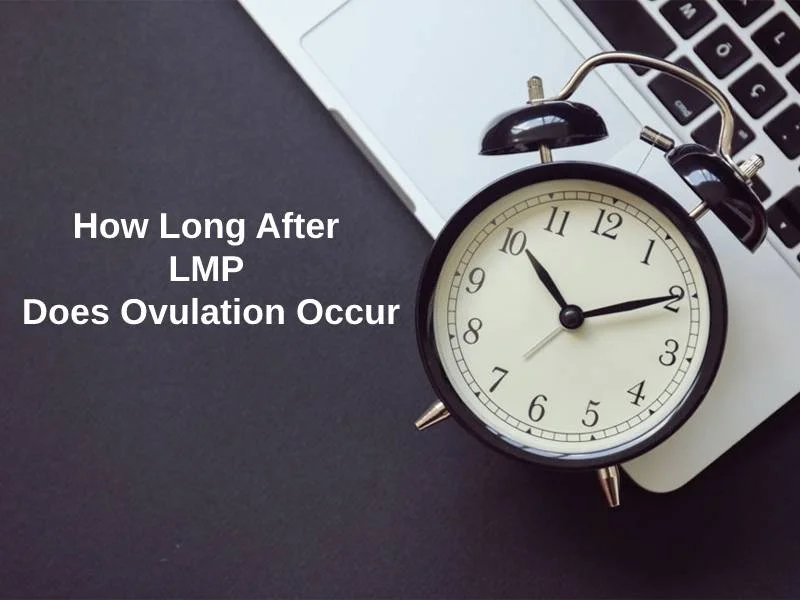 How Long After LMP Does Ovulation Occur