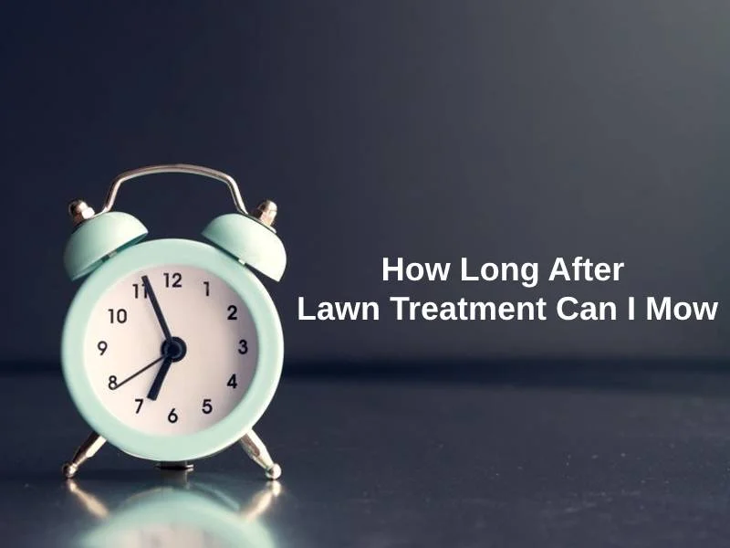 How Long After Lawn Treatment Can I Mow