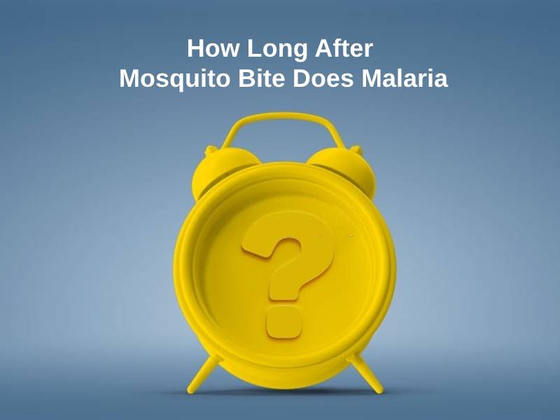 How Long After Mosquito Bite Does Malaria