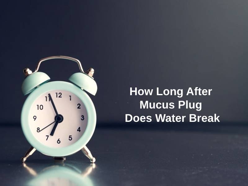 How Long After Mucus Plug Does Water Break