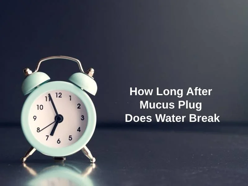How Long After Mucus Plug Does Water Break