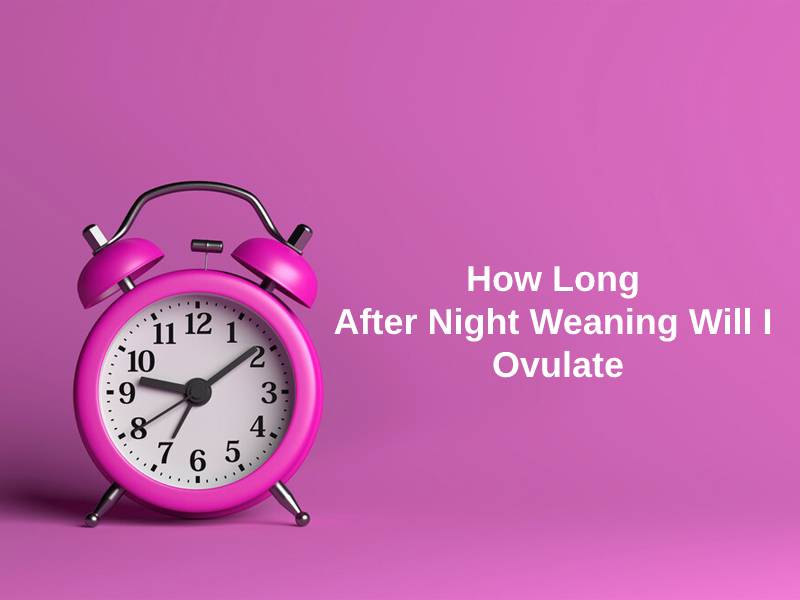 How Long After Night Weaning Will I Ovulate