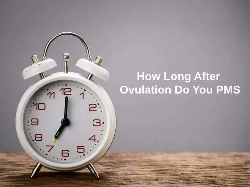 How Long After Ovulation Do You PMS