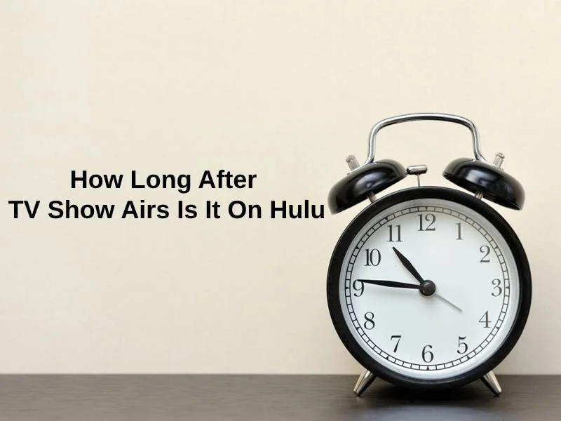 How Long After TV Show Airs Is It On Hulu