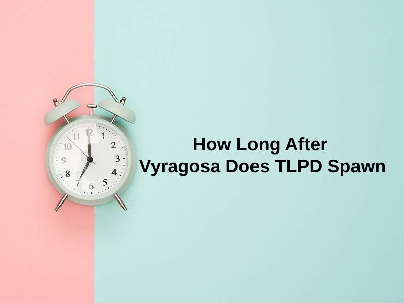 How Long After Vyragosa Does TLPD Spawn
