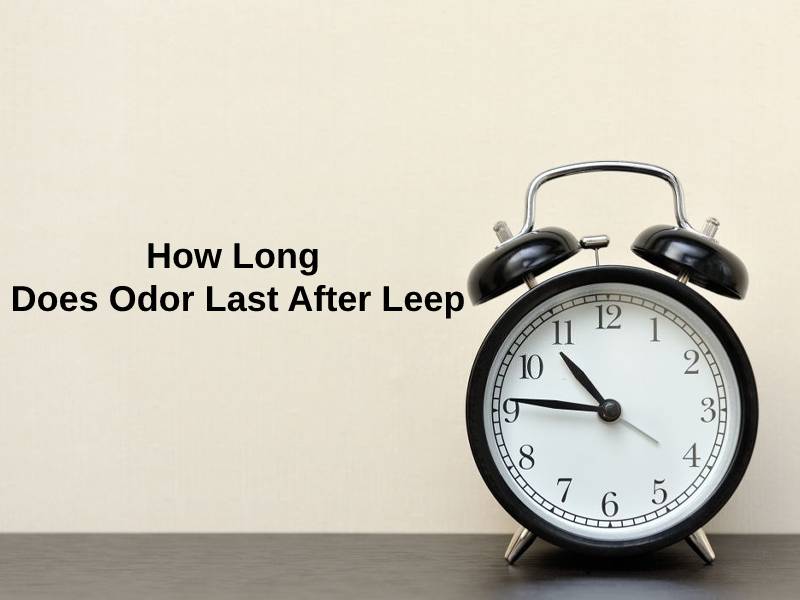 How Long Does Odor Last After Leep