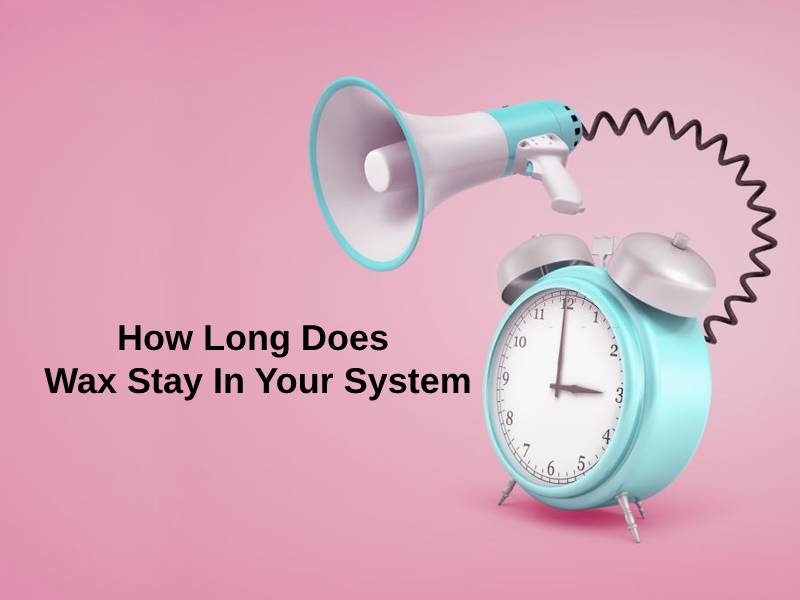 How Long Does Wax Stay In Your System