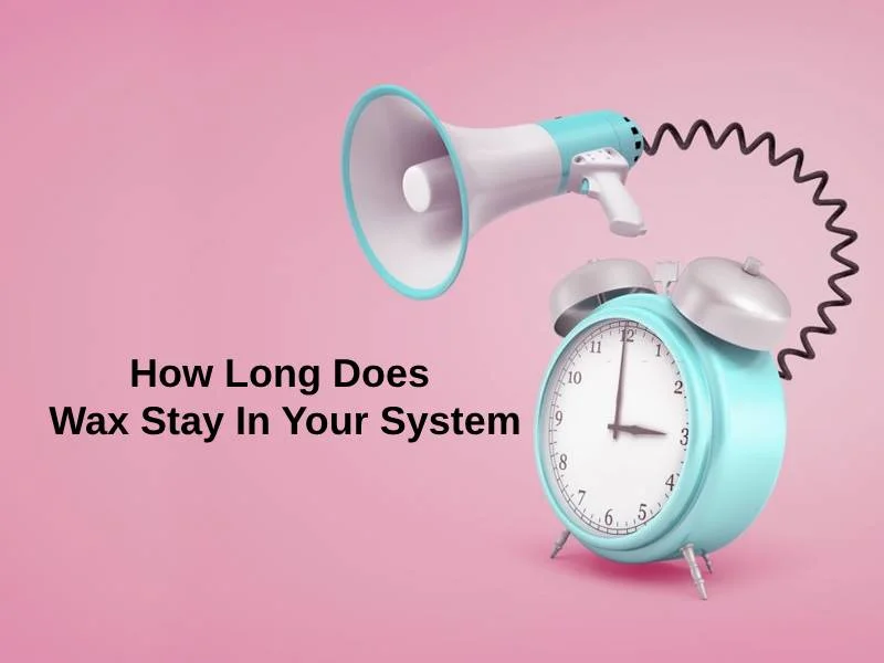How Long Does Wax Stay In Your System