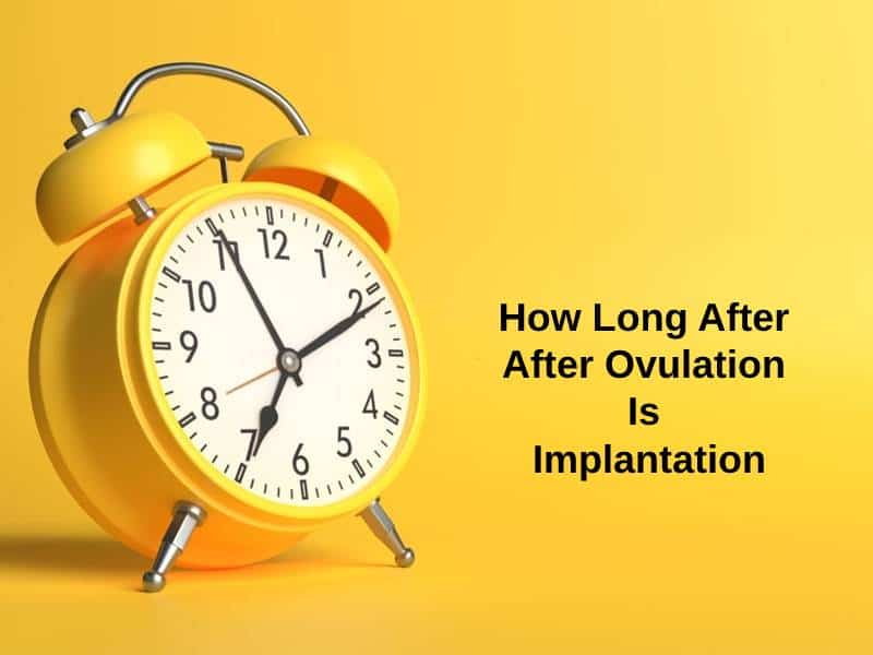 How Long After After Ovulation Is Implantation