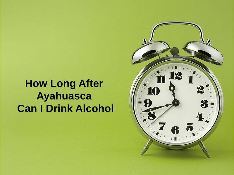 How Long After Ayahuasca Can I Drink Alcohol