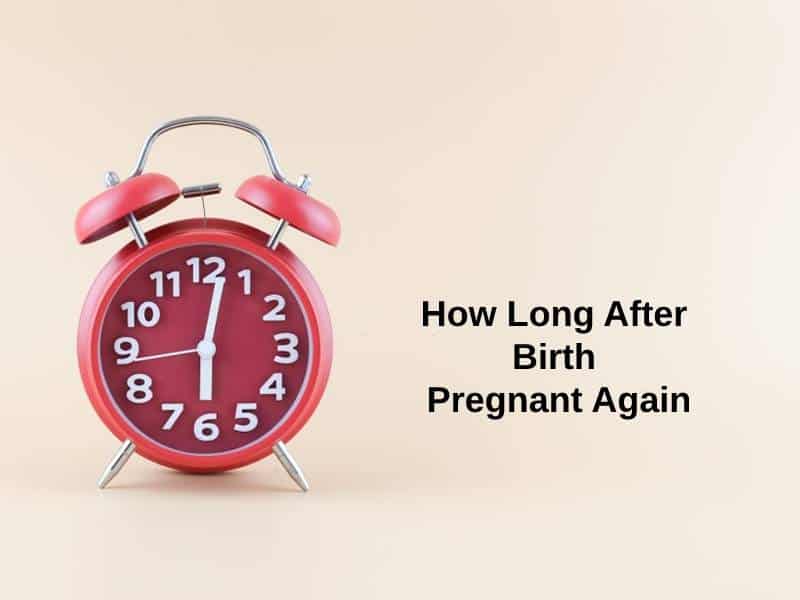 How Long After Birth Pregnant Again