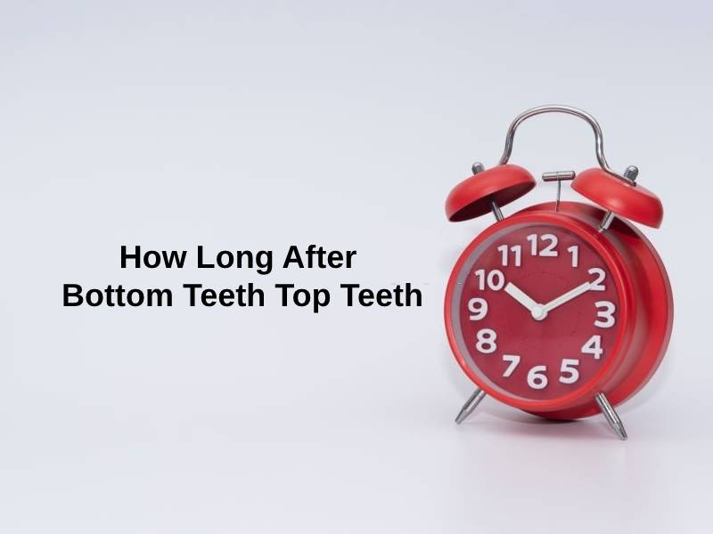 How Long After Bottom Teeth Top Teeth