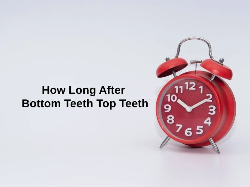 How Long After Bottom Teeth Top Teeth