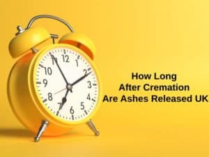 How Long After Cremation Are Ashes Released UK (And Why)? - Exactly How ...