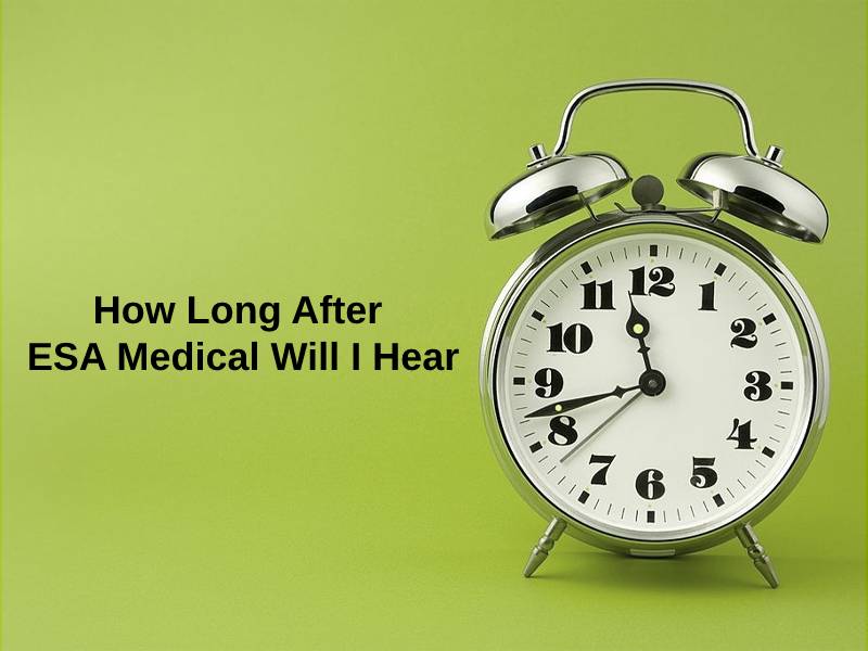How Long After ESA Medical Will I Hear