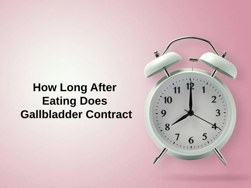 How Long After Eating Does Gallbladder Contract