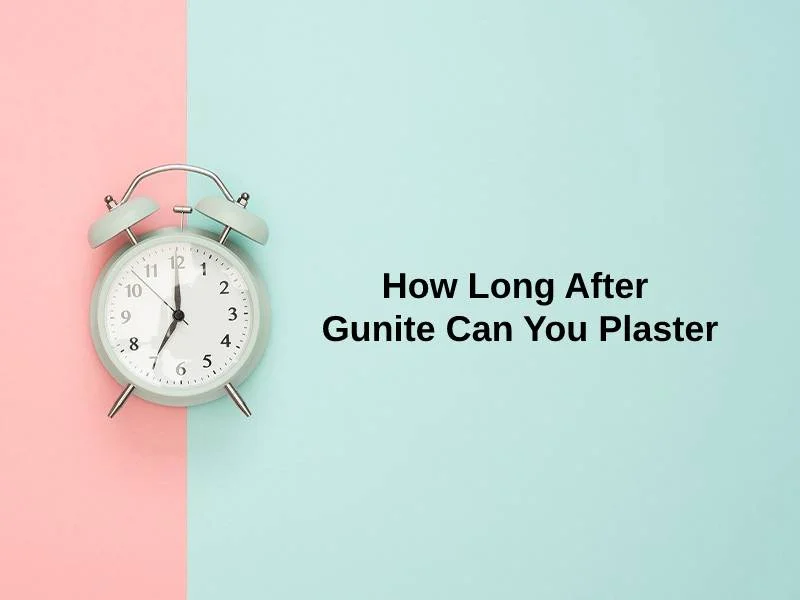 How Long After Gunite Can You Plaster