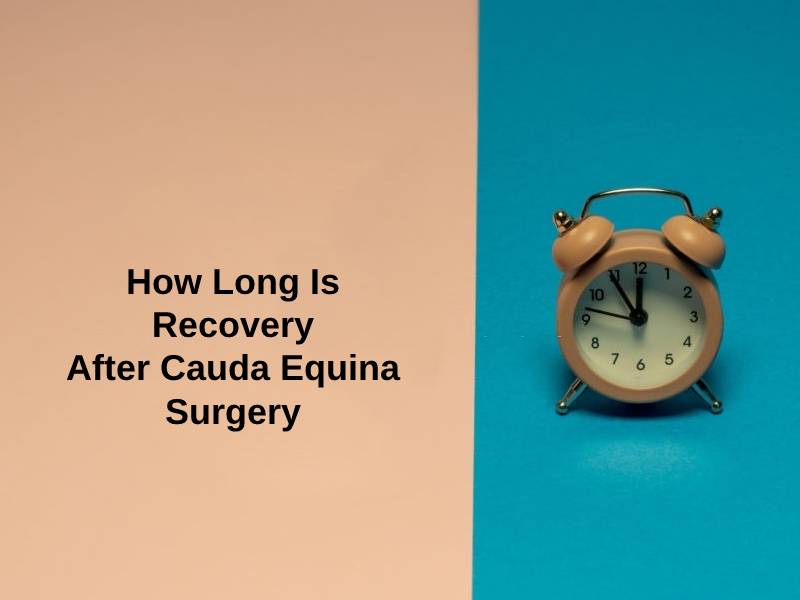 How Long Is Recovery After Cauda Equina Surgery