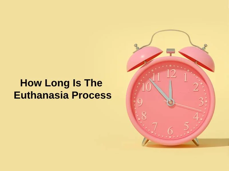How Long Is The Euthanasia Process