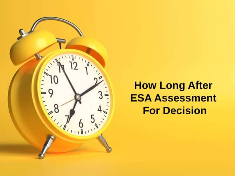 How Long After ESA Assessment For Decision