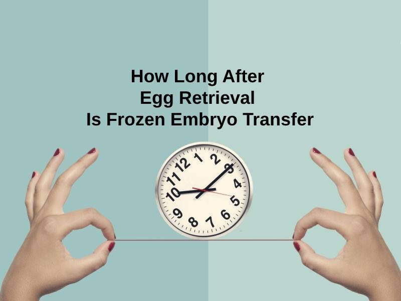 How Long After Egg Retrieval Is Frozen Embryo Transfer
