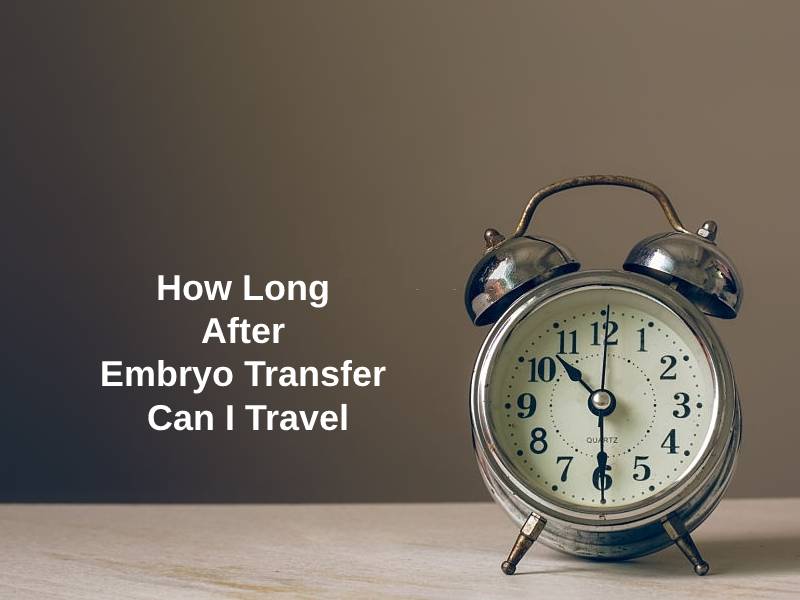 How Long After Embryo Transfer Can I Travel
