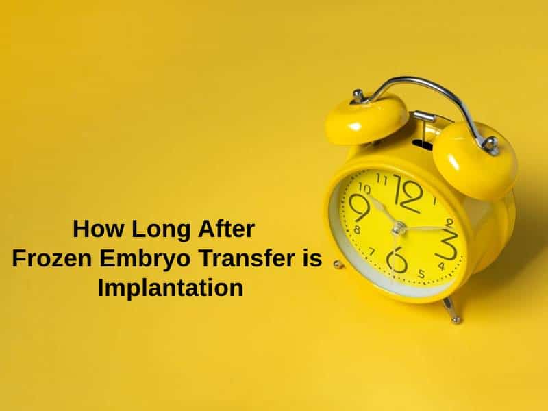 How Long After Frozen Embryo Transfer is Implantation (And why)?