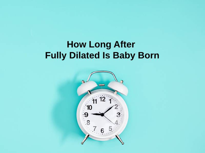 How Long After Fully Dilated Is Baby Born