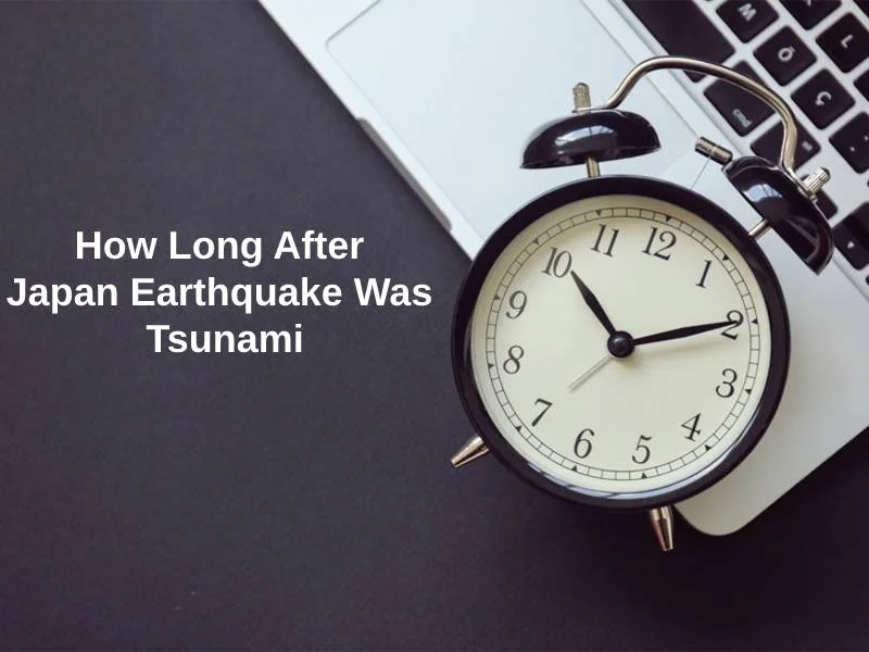 How Long After Japan Earthquake Was Tsunami