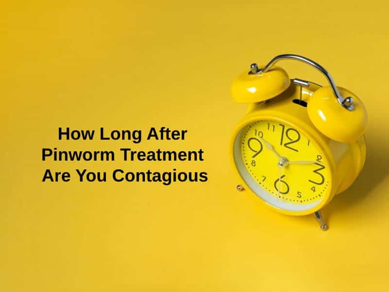 How Long After Pinworm Treatment Are You Contagious