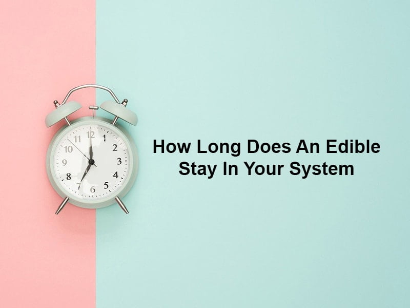 How Long Does An Edible Stay In Your System