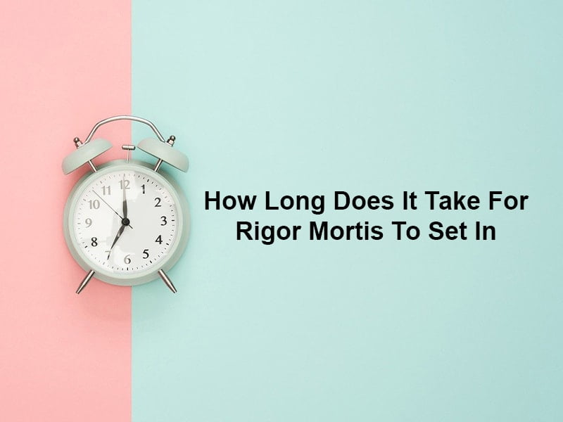 How Long Does It Take For Rigor Mortis To Set In