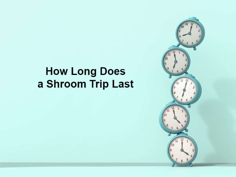 How Long Does a Shroom Trip Last
